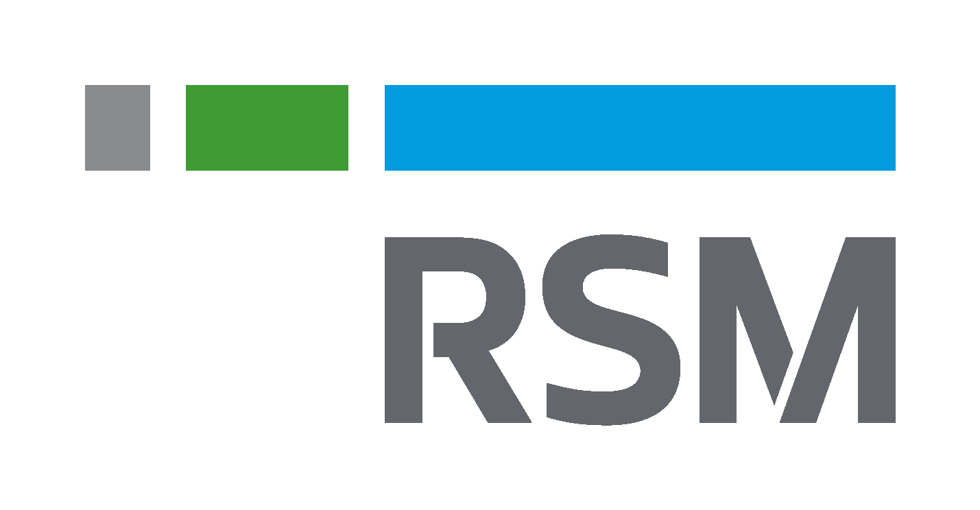 RSM清和監査法人 様